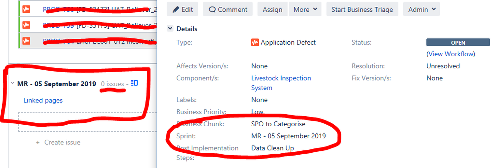 JIRA sprint issue 2.PNG