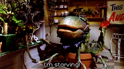 source.gif