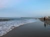 IMG-2347.JPG