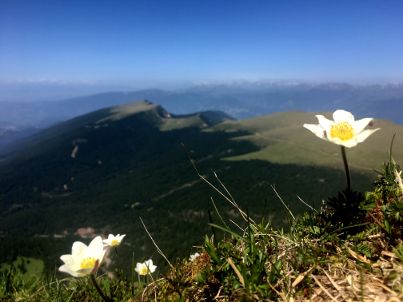 suedtirol-klein.jpg