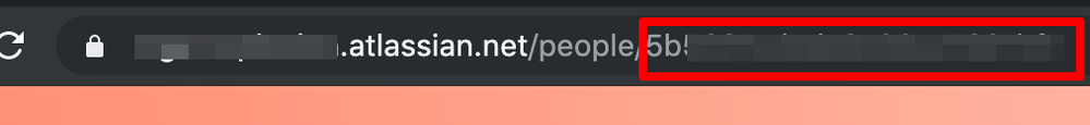 accountId.png