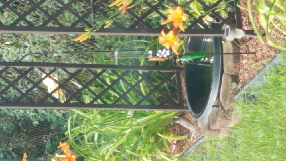 2019-06-27 18.27.19.jpg