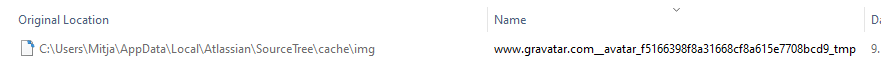 sourcetree.png