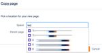 CopyPage.jpg
