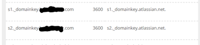 NS1.png