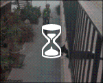 hfgif.gif