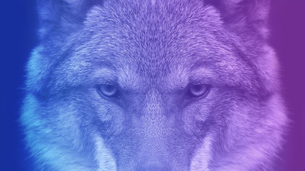 Introducing Wolf - Igloo's Summer Release (00000002).jpg