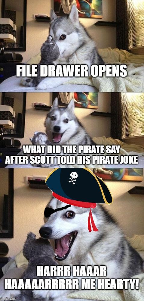 HuskyPirateHar.jpg