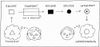 comm02.jpg