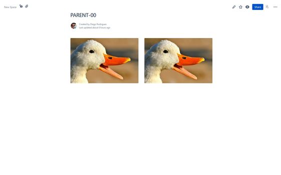 ImageViewQuack.jpg