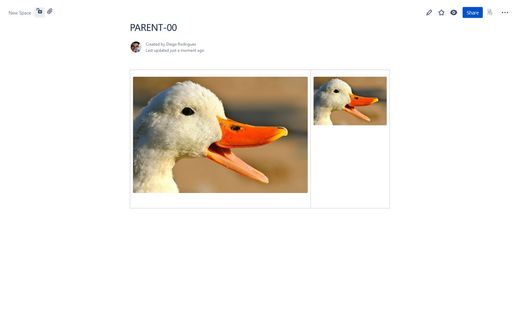 ResizeViewQuack.jpg