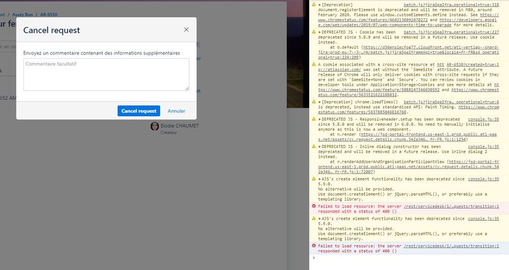 jira issue 2.JPG