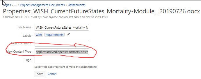 word doc issues in Confluence.jpg
