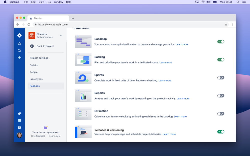 Features toggle.png