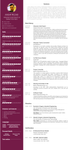 Ansar Rezaei - English Resume V2.7.png