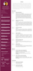 Ansar Rezaei - English Resume V2.7.png