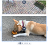 CleanShot 2019-12-06 at 12.01.44.png