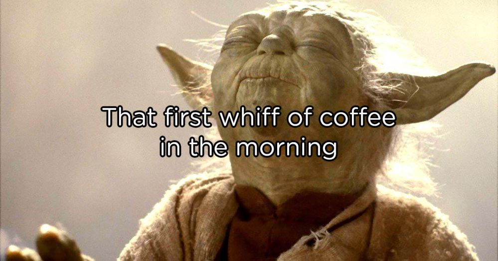 coffee-memes-full-lead