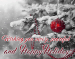 happy-holidays-falling-peaceful-snow-animated-gif-wishes.gif