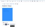 ServerPDFLinkOption.jpg
