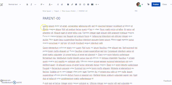 IndentText.gif