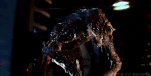 giphy