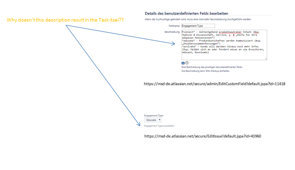 CustomFieldDecription_UpdateProblem.png