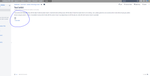 functionality when I put fle instead of inline script.PNG