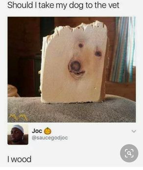 dog_vet_WOOD.jpg