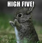 high five.png