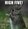 high five.png