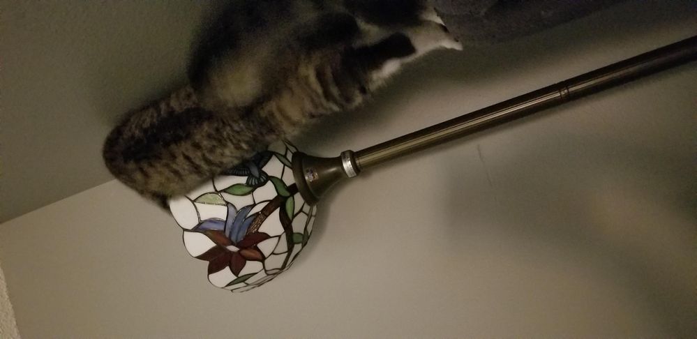 Hera Lamp 1.jpg