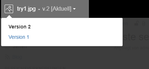 Version vergleich pictureviewer confluence.PNG