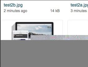 Screen Shot 2017-05-02 at 2.08.43 PM.jpg