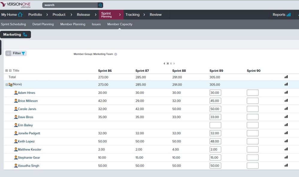 team_member_capacity_planning_version_one.JPG