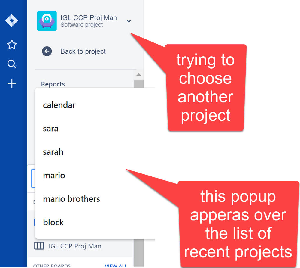 jirra bug popuplist.png