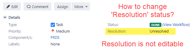 jira forum - issue details.png