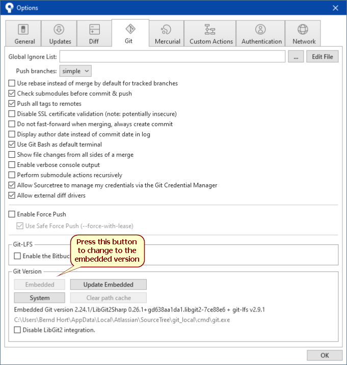 Sourcetree-Options-Embedded.png