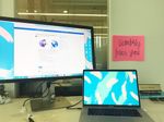 Public (Community Manager)