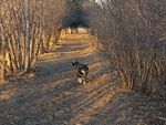 20200321_074729.jpg