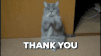 thankyoucat.gif