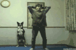 giphy.gif?cid=4d1e4f29528de1f2d6f883c9615e3e8c9425f548362f6fc9&rid=giphy