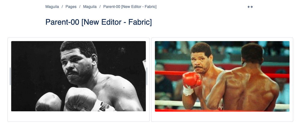 Screen Shot 2020-04-30 at 16.13.32.png