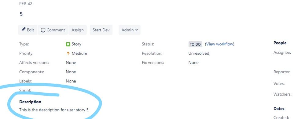 3_issues details with description.jpg