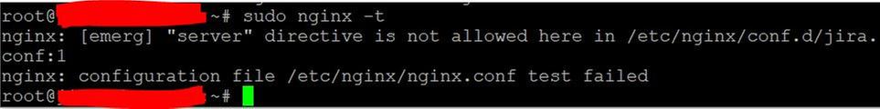 nginx-t.JPG