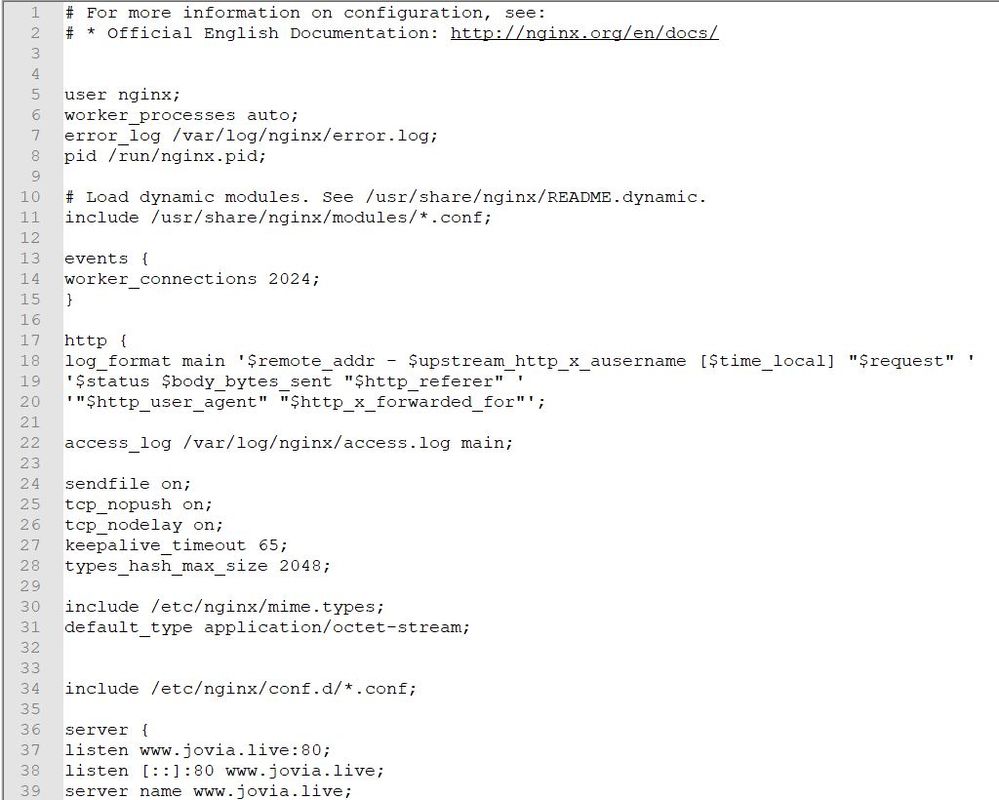 nginx.conf.JPG