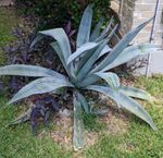 IMG_20200605_130756.jpg
