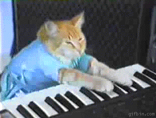 keyboard_cat.gif