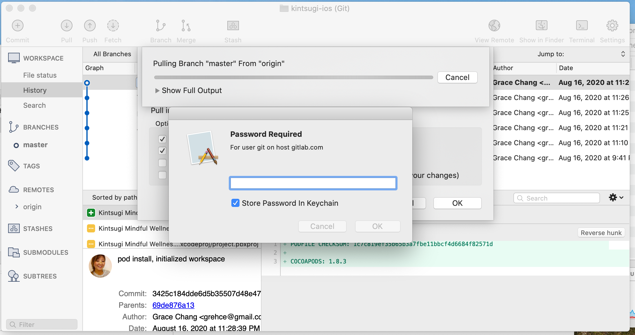 Solved: Can't Login With My Gitlab Account On SourceTree