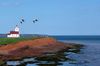 prince-edward-island-54990_640.jpg